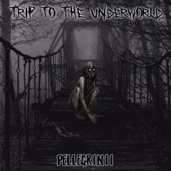 Pellegrinii LIVE- Trip To The Underworld- 170bpm