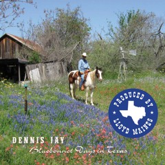 Bluebonnet Days In Texas (from the EP Bluebonnet Days In Texas)