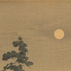 Neither Here Nor There