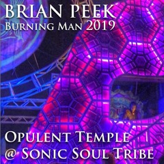 Brian Peek - Opulent Temple @ Sonic Soul Tribe - Burning Man 2019
