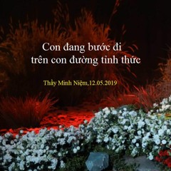 Con đang bước đi trên con đường tỉnh thức | Thầy Minh Niệm |  12.05.2019