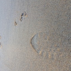 Wee taster of my first new song this year