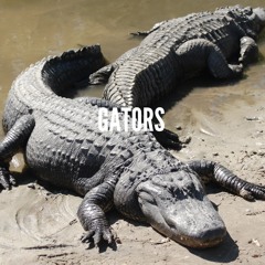 Gators (ft HTDM and Samaad Mitchell)