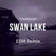 #1 Swan Lake - Pyotr Ilyich Tchaikovsky EDM Remix