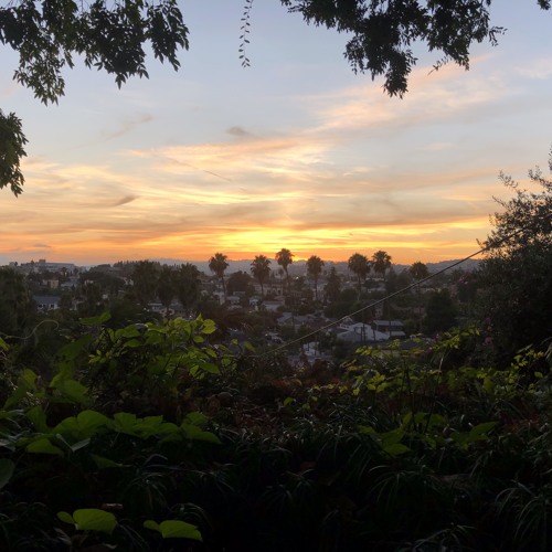 Los Feliz | August 2019