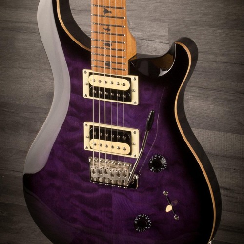 Prs Se Custom 24 Roasted Maple Demo Song By Martin Berka 1 Prs Se Custom 24 Roasted Maple Demo Song By Martin Berka 1
