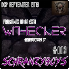 Withecker @ DCP SchranzyBoys #003 Special Promo Mix Section Seven 08.09.2019