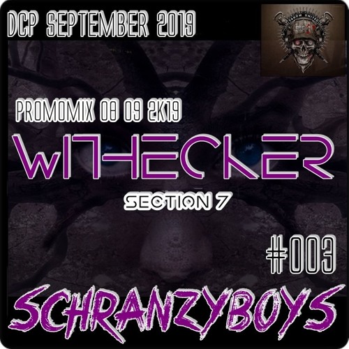 Withecker @ DCP SchranzyBoys #003 Special Promo Mix Section Seven 08.09.2019