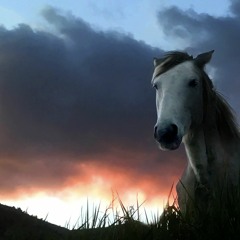 ELGER - horse wolf eagle and howl.