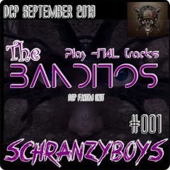 The Banditos Play HT4L tracks @ DCP SchranzyBoys 2019 #001