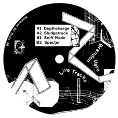 Brandon Vare - Live Tracks EP Snippets