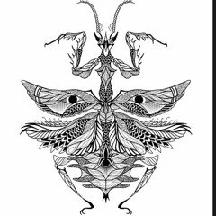 The Narrator