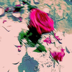 Midnight House 2019/09/10 20:26