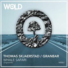 THOMAS SKJAERSTAD & GRANBAR - Whale Safari (Original Mix)