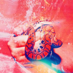 VIPER