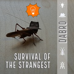 Track 8 - Survival Of The Strangest