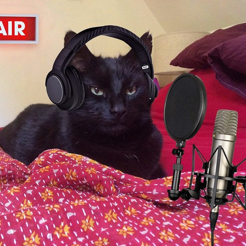 Ruben The Cat On BBC Radio Devon
