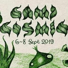 Camp Cosmic 2019 seT zOoTiMe 🌿