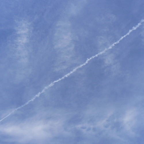 Panicbutton (Original Mix)