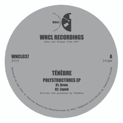 First Listen: Ténèbre - 'Low Poly' (WNCL Recordings)