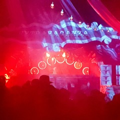 Pete Rowbots @ Moyn Moyn Festival 2019 - Speziale Floor