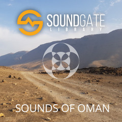 SGL, SOUNDS OF OMAN, OASIS, WADI DARBAT, NIGHT, CICADAS, CRICKETS, OPEN SPACE STEREO