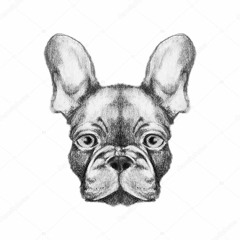 New private playlist