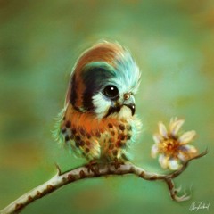 Pajarito(little bird)--Instrumental version