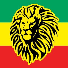 GENTLEMANS DUB CLUB Live @ Lion Stage 2019