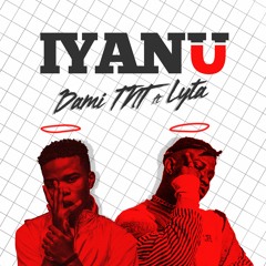 Dami TNT ft. LYTA - Iyanu