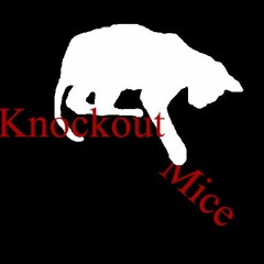 Off The Lemon (remix)