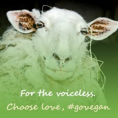 Keane - Bedshaped (Vegan Piano Guy rework)