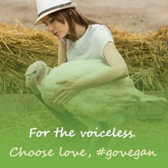 Radiohead - Lucky (Vegan Piano Guy rework)