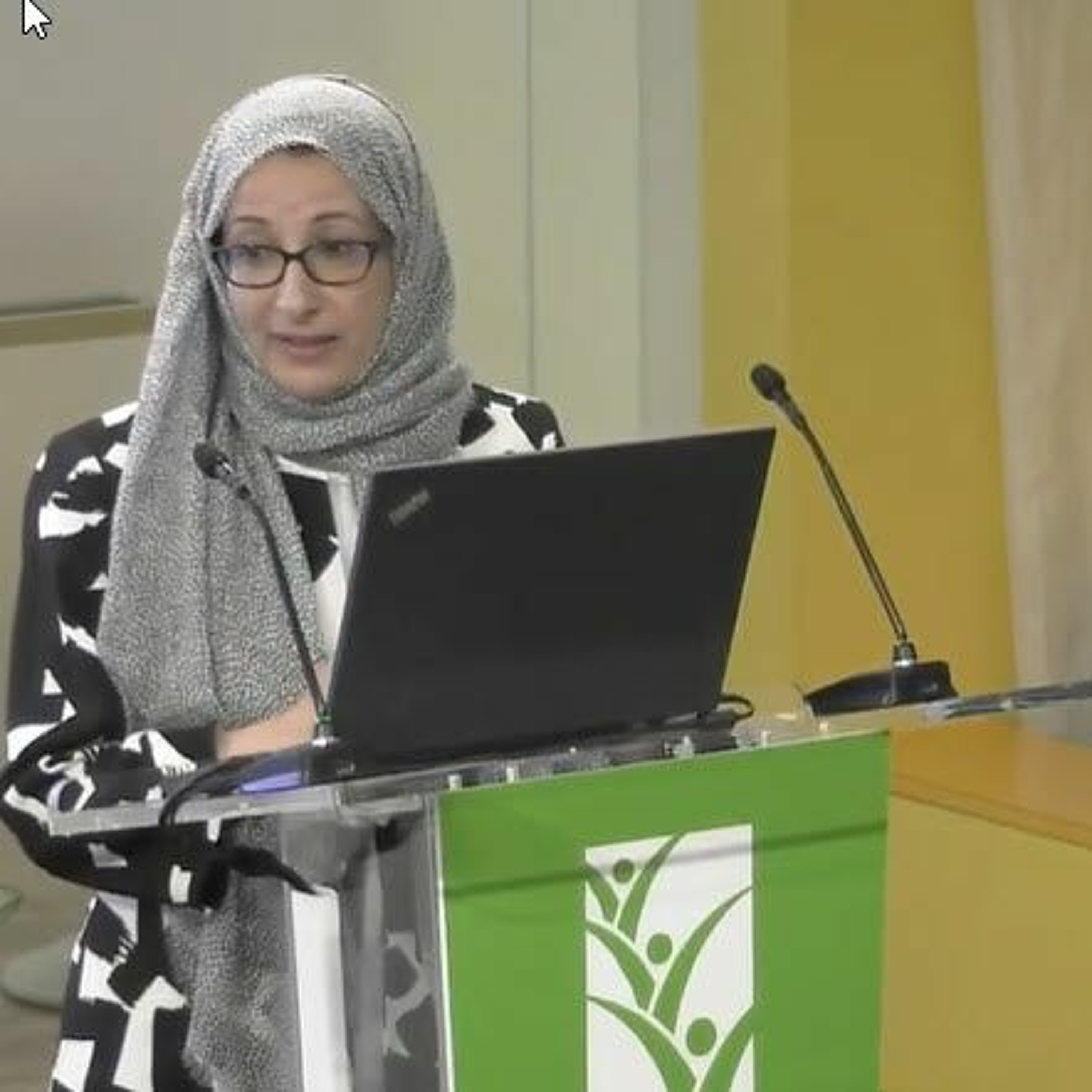 IFPRI POLSEM: Impacts of Cash Transfers on Preventing Malnutrition in Yemen - 9/5/2019 - L.Al-Iryani episode artwork