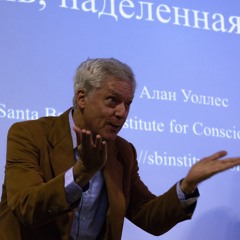 Алан Уоллес – Ключ к умственной устойчивости