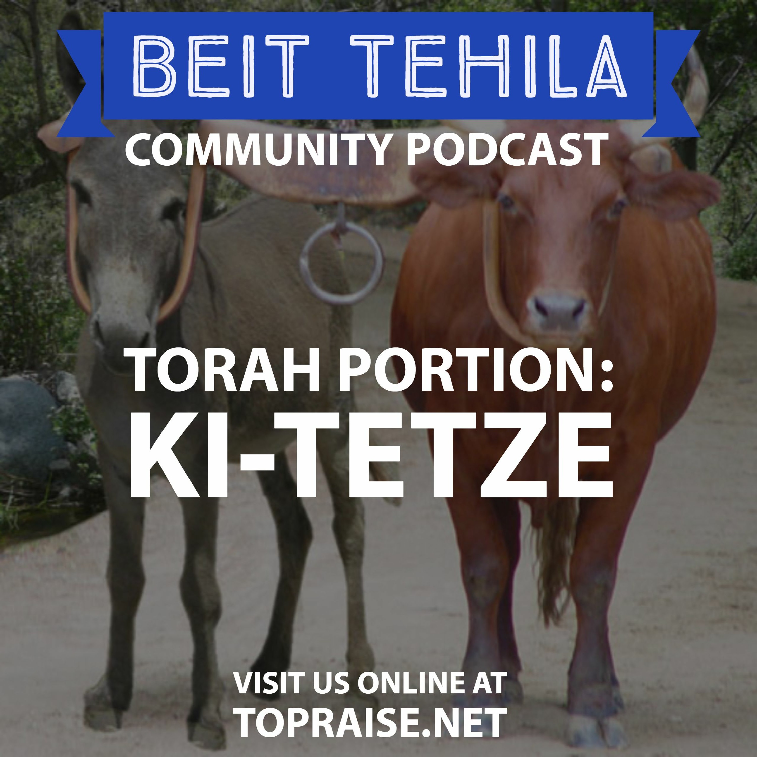 Christian\'s with Torah - The BeitTehila Podcast | Pastor Nick Plummer & Ryan Cabrera