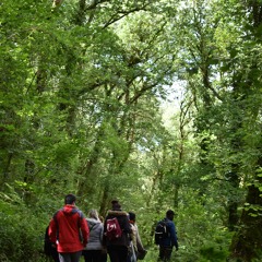 Wellbeing in Nature