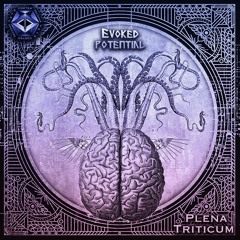 Plena Triticum - Covered Triangle