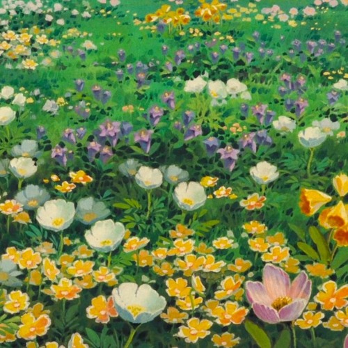 Kamala Kaze - floral notes