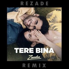 Zaeden - Tere Bina (Rezade Festival Mix) FREE DOWNLOAD