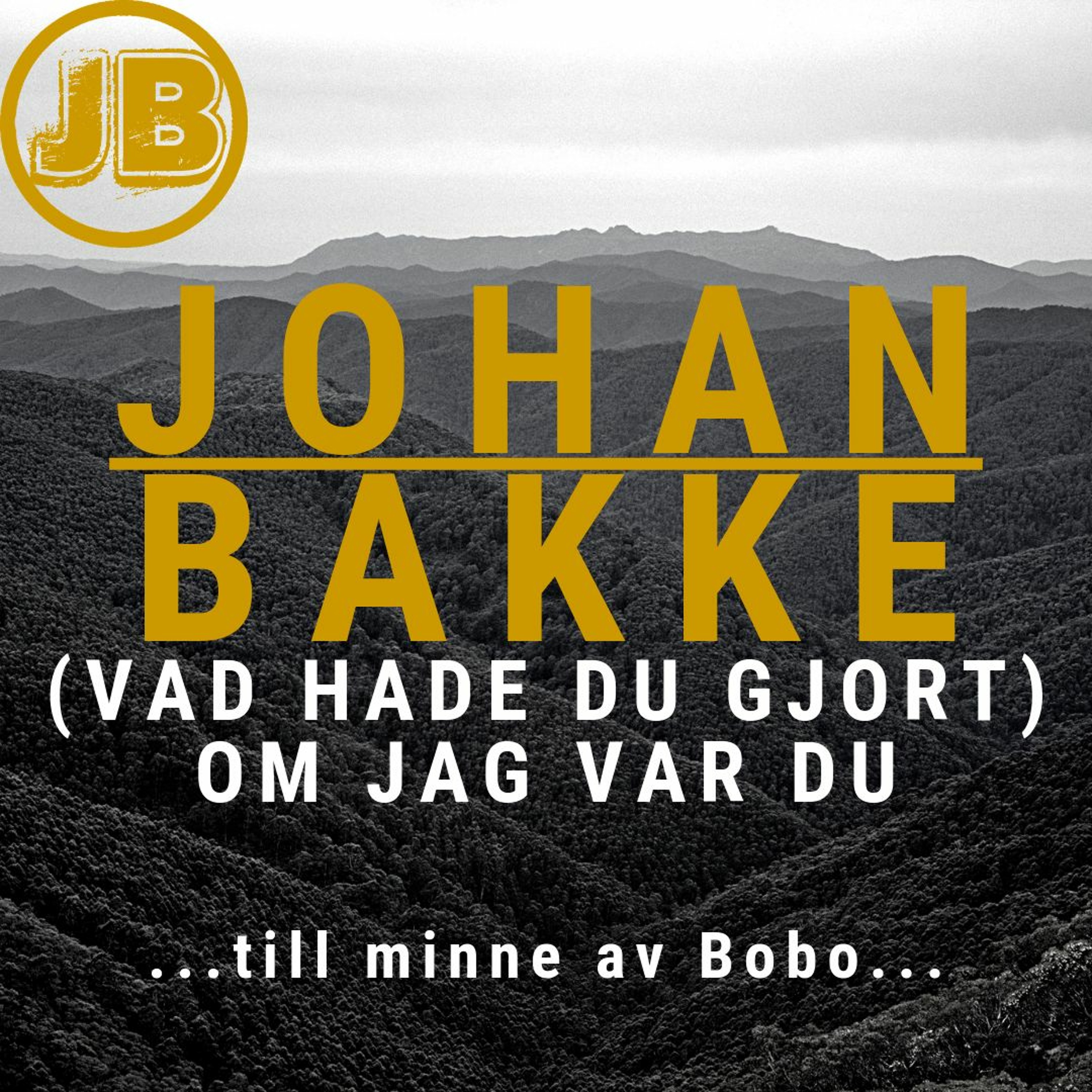 (Vad hade du gjort) Om jag var du