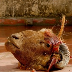 Fuck A Ram (prod. infiniteant)