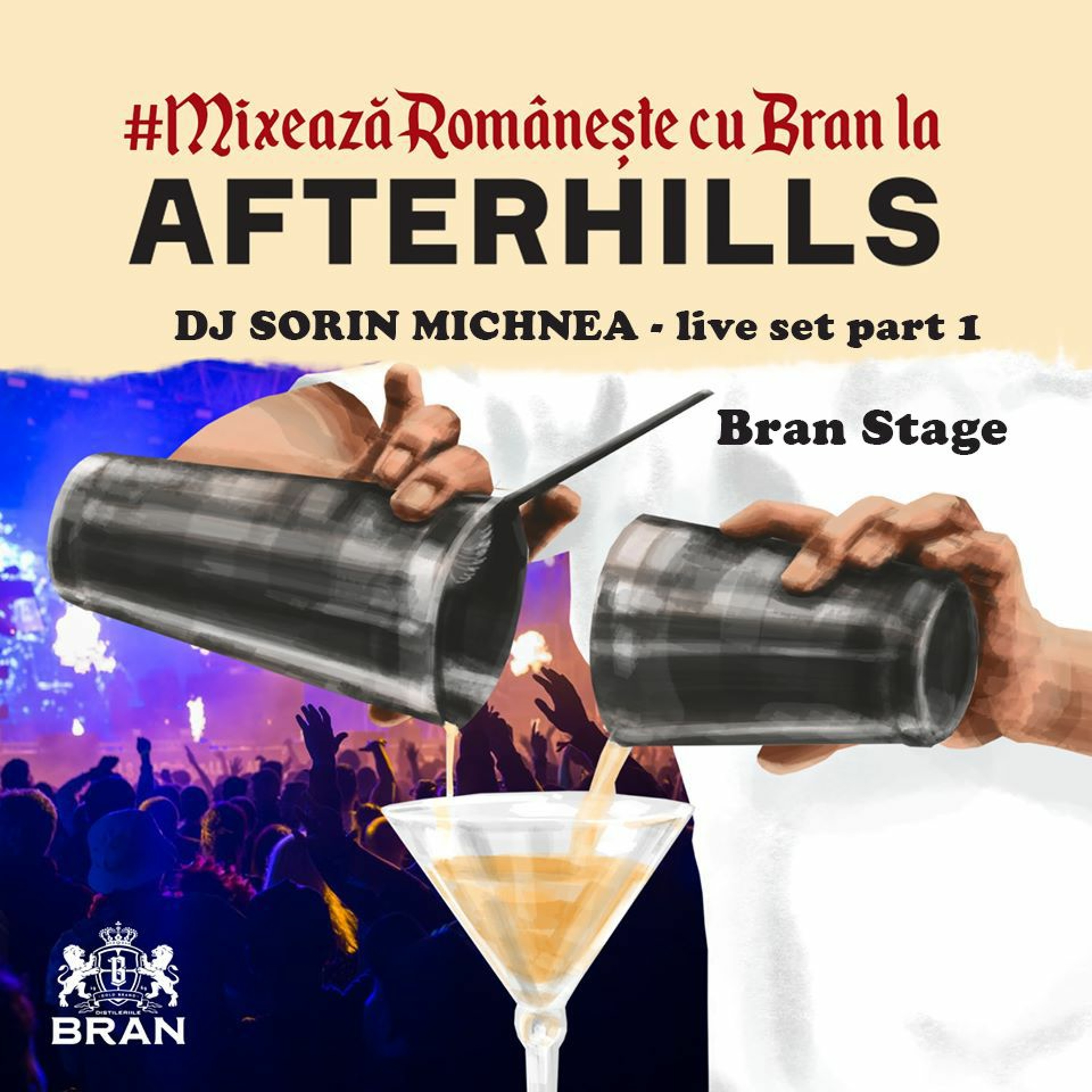 Dj Sorin Michnea