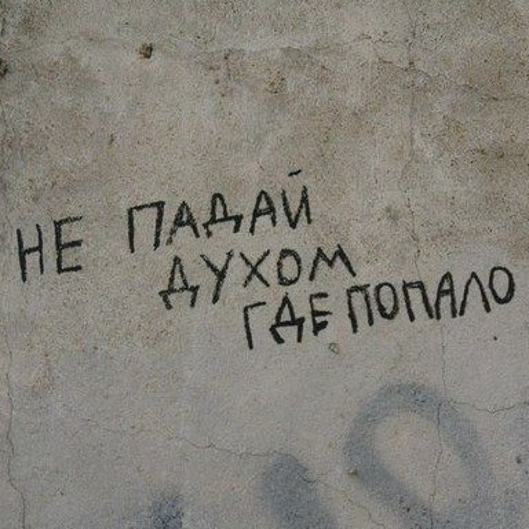 Прикольные картинки с большого бодуна. Белая футболка с надписью женская. Не падайте духом где попало ищи красивые места картинки. А не где попало. Не ешь где попало.