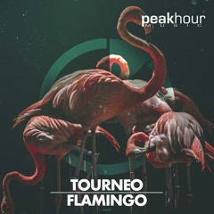 Tourneo - Flamingo [OUT NOW]