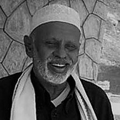 يحي عمر قال | محمد مرشد ناجي