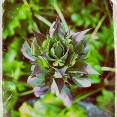 To Live (& Feel Alive)