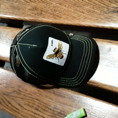 🐯 hello 🐱 kitty 🦁