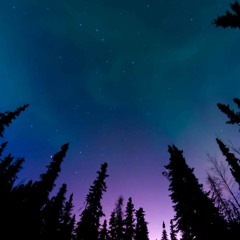 Shroombab Ravers Delight Mix