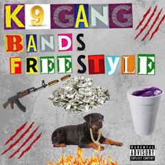 Bands Freestyle